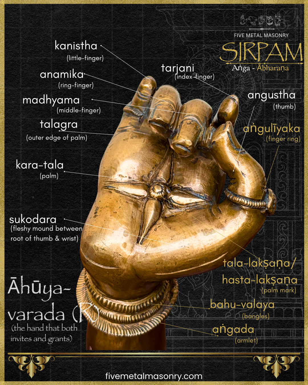 Bronze hand with fingers labeled on a dark background